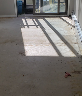 Luxury Vinyl Plank Flooring